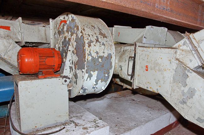 Bunker, Koralle, Berlin, Germany