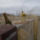 Champagne, price and brand new trenches! (Photo: Arthur van Beveren)