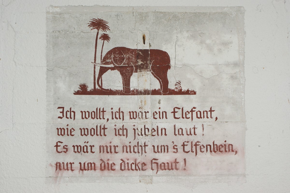 The elephant