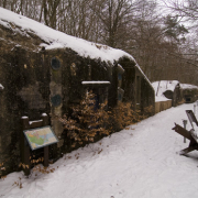 2 x 608 in snowy Skanderborg, Denmark 2010. (Photo: Arthur van Beveren)